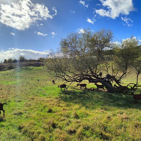 Agriturismo Podere Le Fornaci グレーヴェ・イン・キアンティ エクステリア 写真