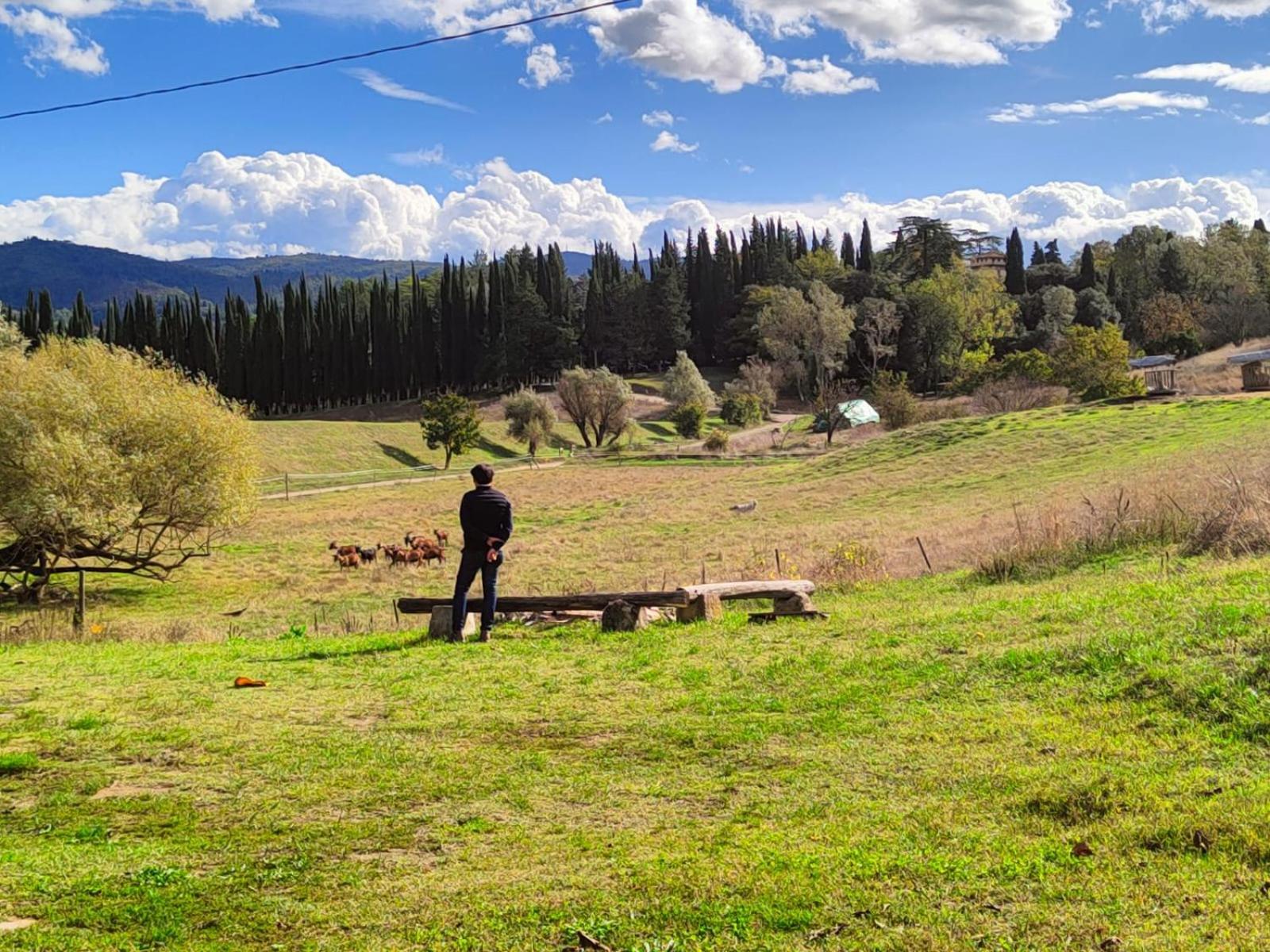 Agriturismo Podere Le Fornaci グレーヴェ・イン・キアンティ エクステリア 写真